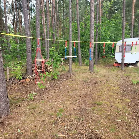 Pod Debem Wysoka Lelowska