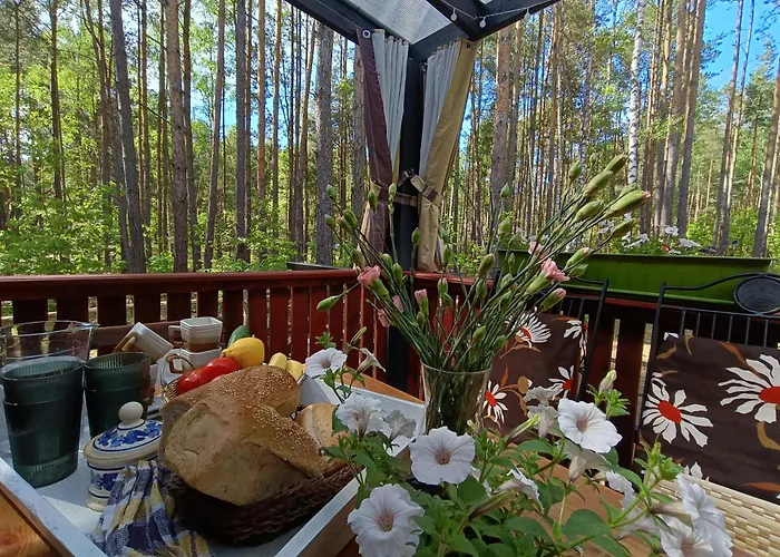 Pod Debem Wysoka Lelowska